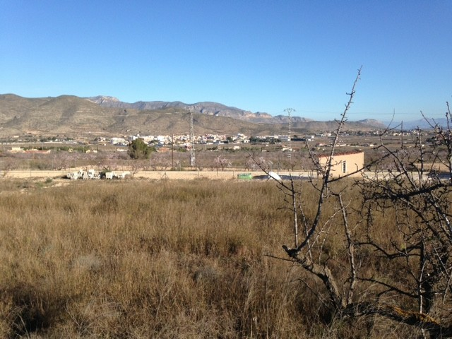 Land In Hondón De Los Frailes, Spain (5.971 M² Plot)