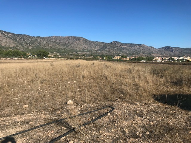 Land In Salinas, Spain (14.000 M² Plot)