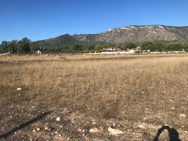 Land In Salinas, Spain (14.000 M² Plot)