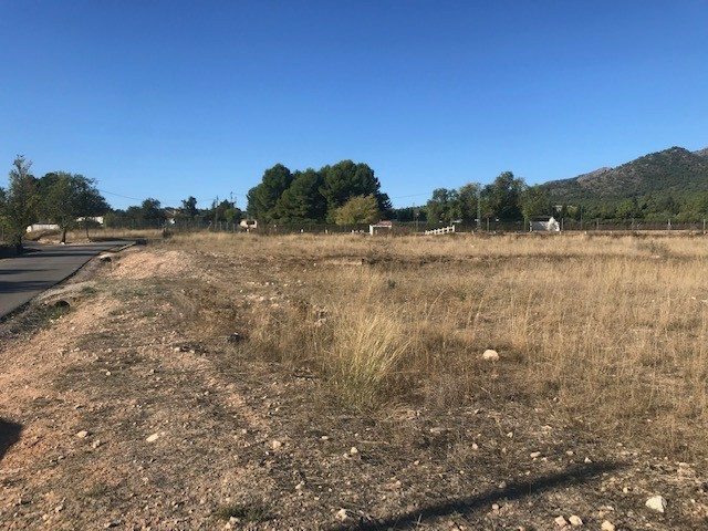 Land In Salinas, Spain (14.000 M² Plot)