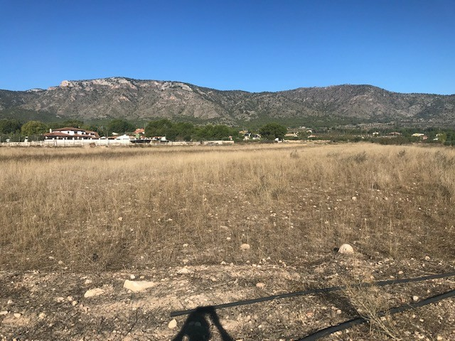 Land In Salinas, Spain (14.000 M² Plot)