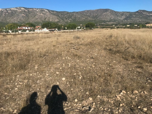 Land In Salinas, Spain (14.000 M² Plot)