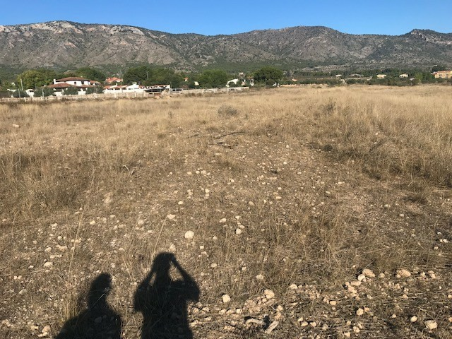 Land In Salinas, Spain (14.000 M² Plot)