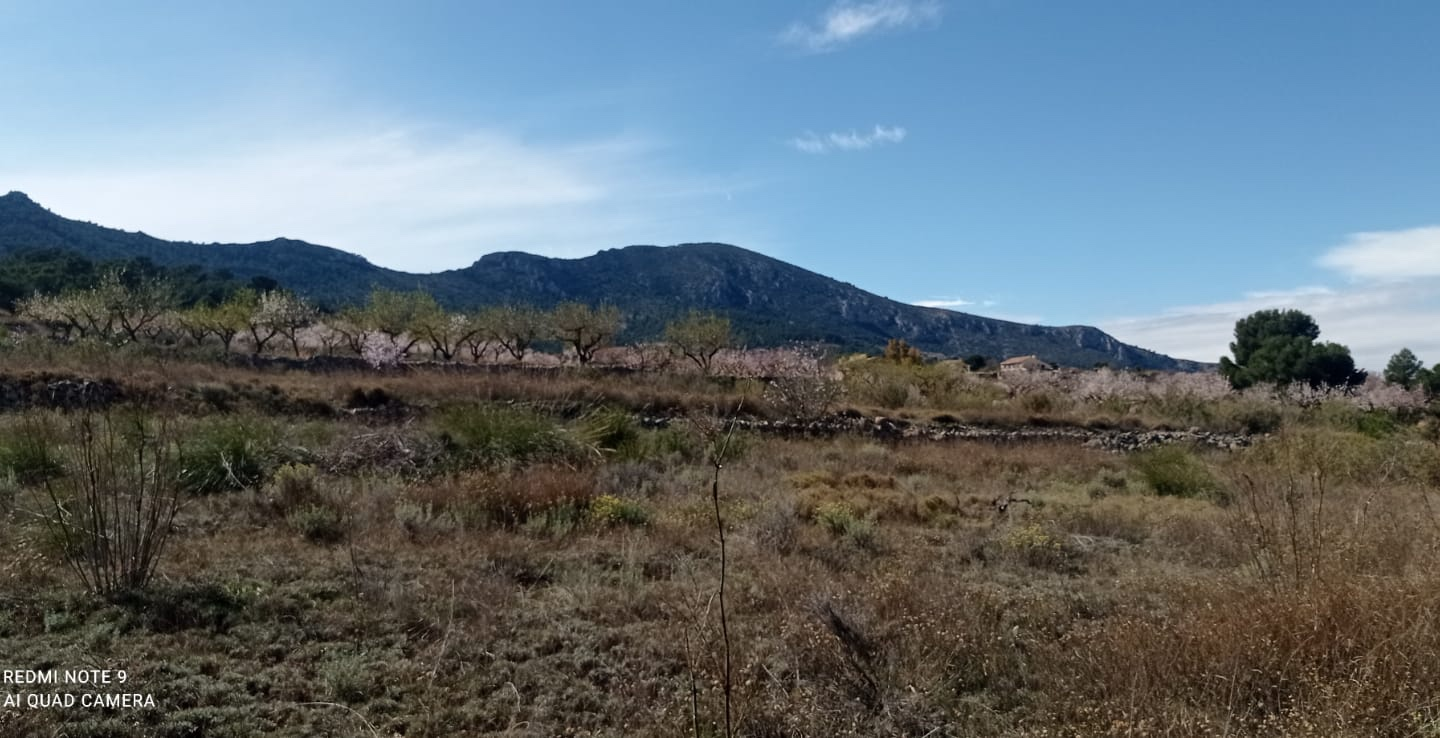 Land In La Romana, Spain (10.710 M² Plot)