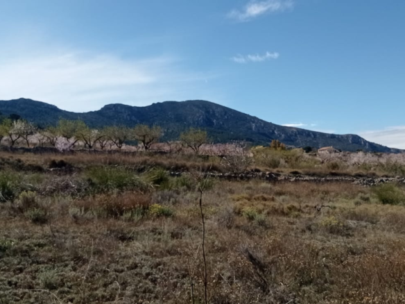 Land In La Romana, Spain (10.710 M² Plot)