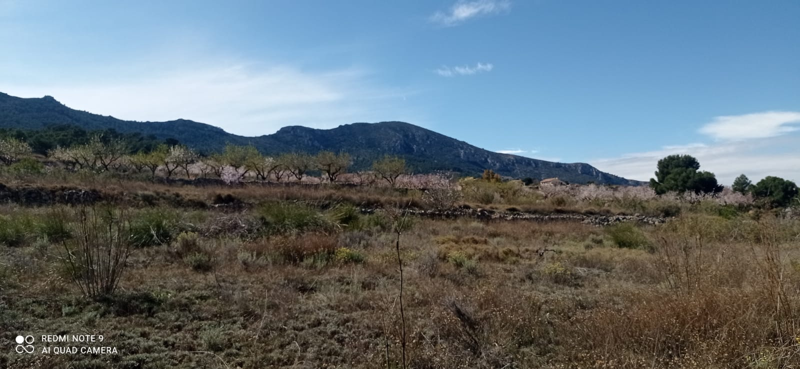 Land In La Romana, Spain (10.710 M² Plot)