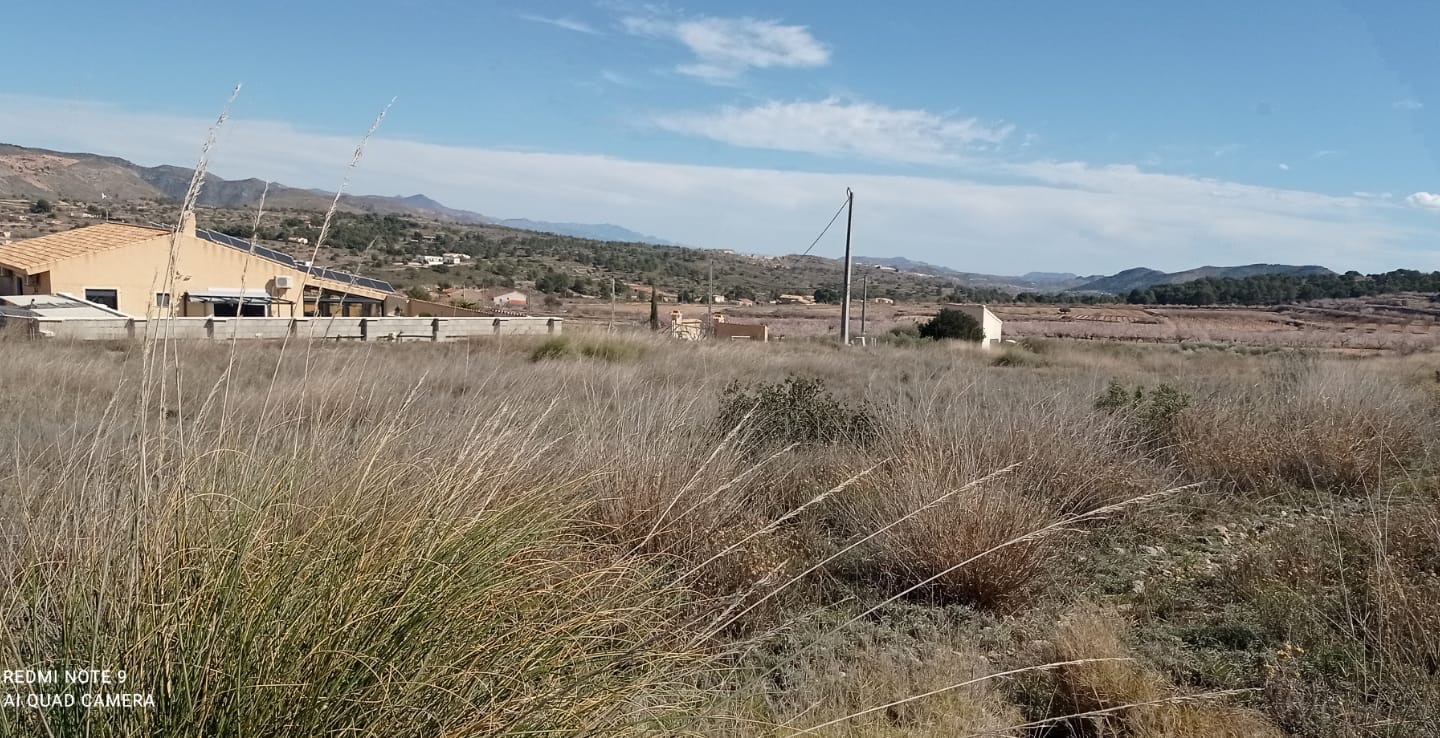 Land In La Romana, Spain (10.710 M² Plot)