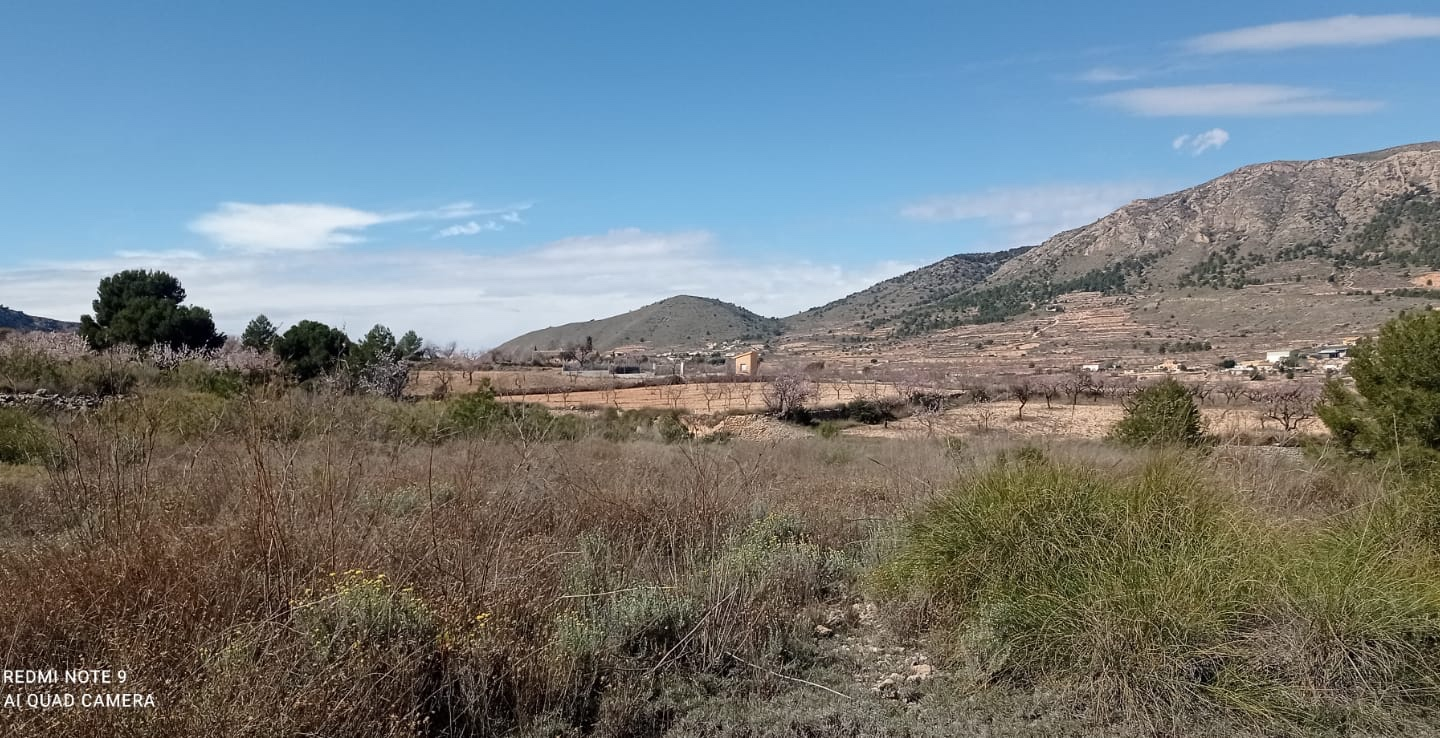 Land In La Romana, Spain (10.710 M² Plot)