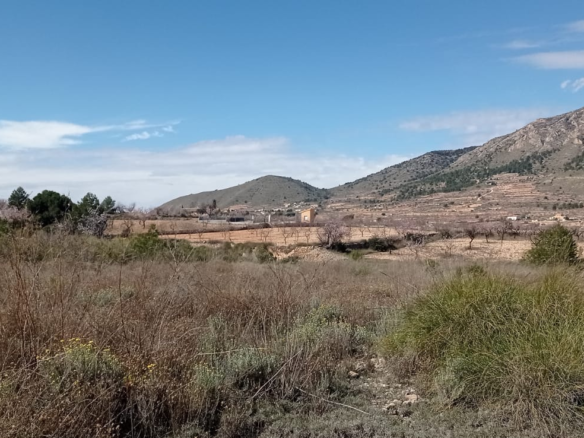 Land In La Romana, Spain (10.710 M² Plot)
