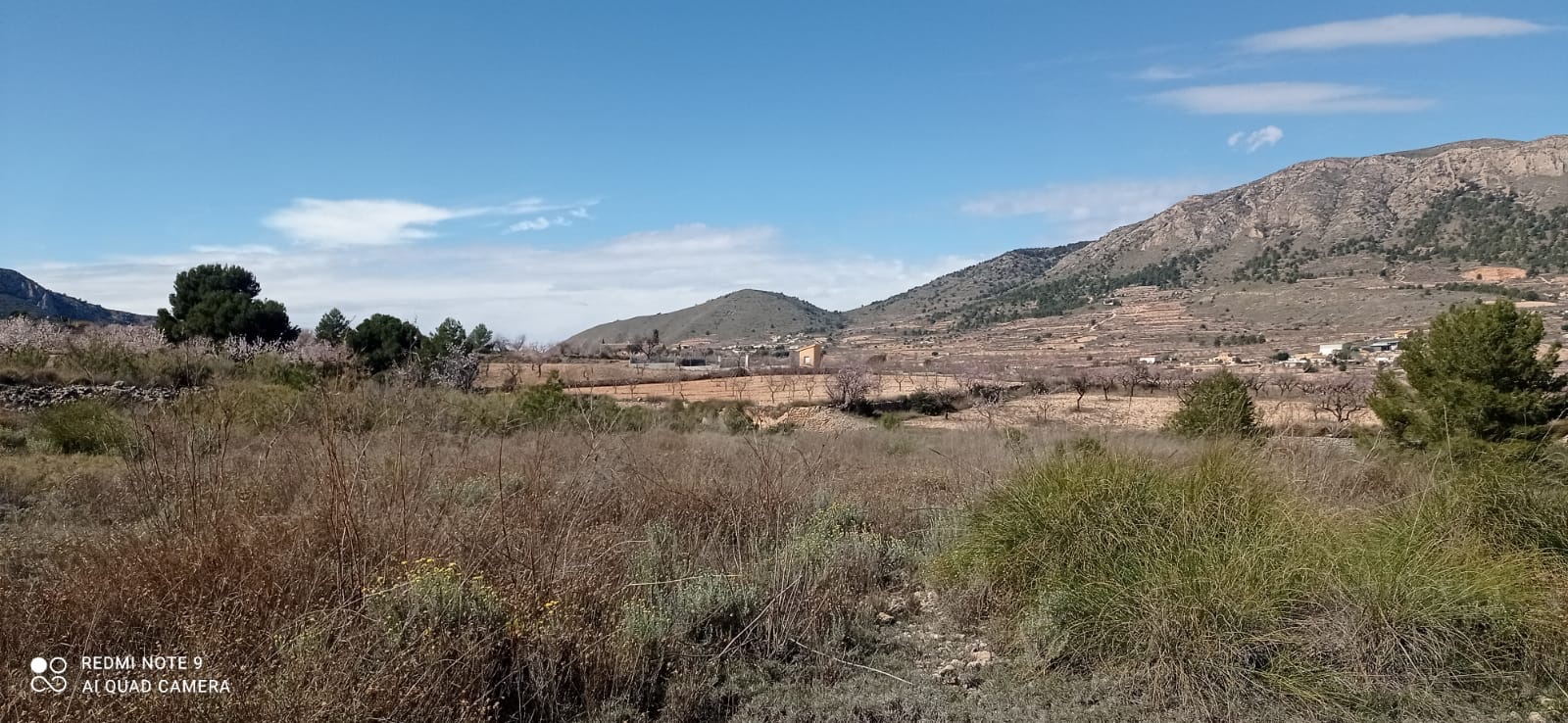 Land In La Romana, Spain (10.710 M² Plot)