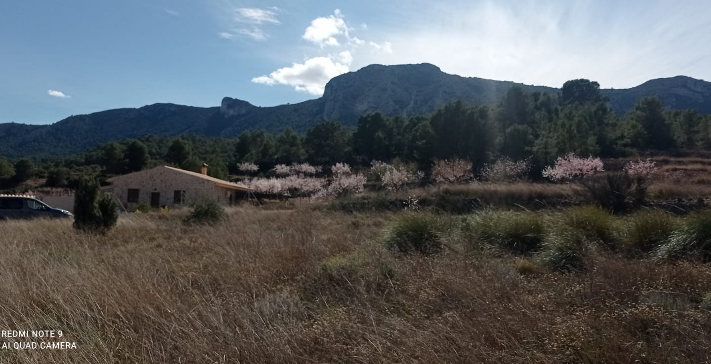 Land In La Romana, Spain (10.710 M² Plot)