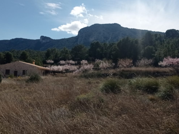 Land In La Romana, Spain (10.710 M² Plot)