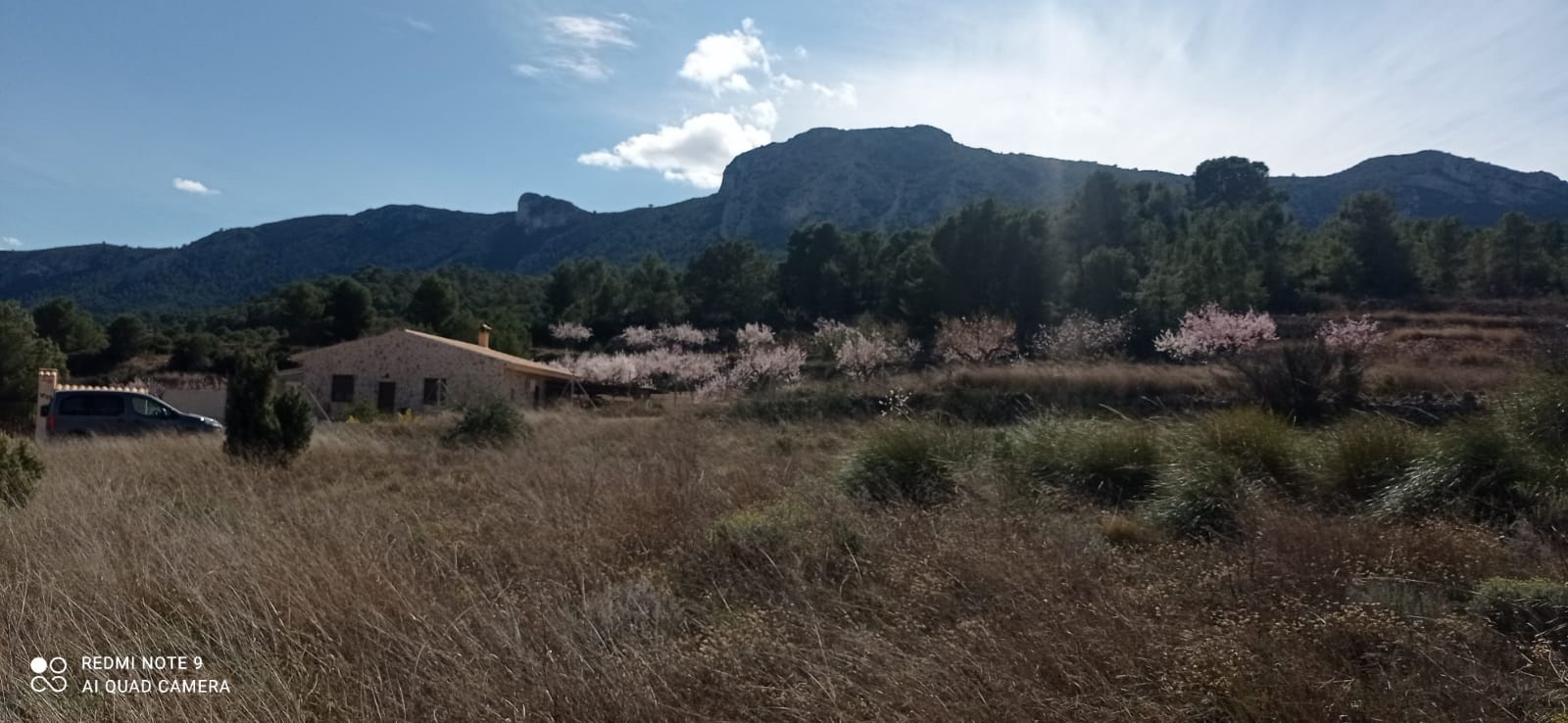 Land In La Romana, Spain (10.710 M² Plot)