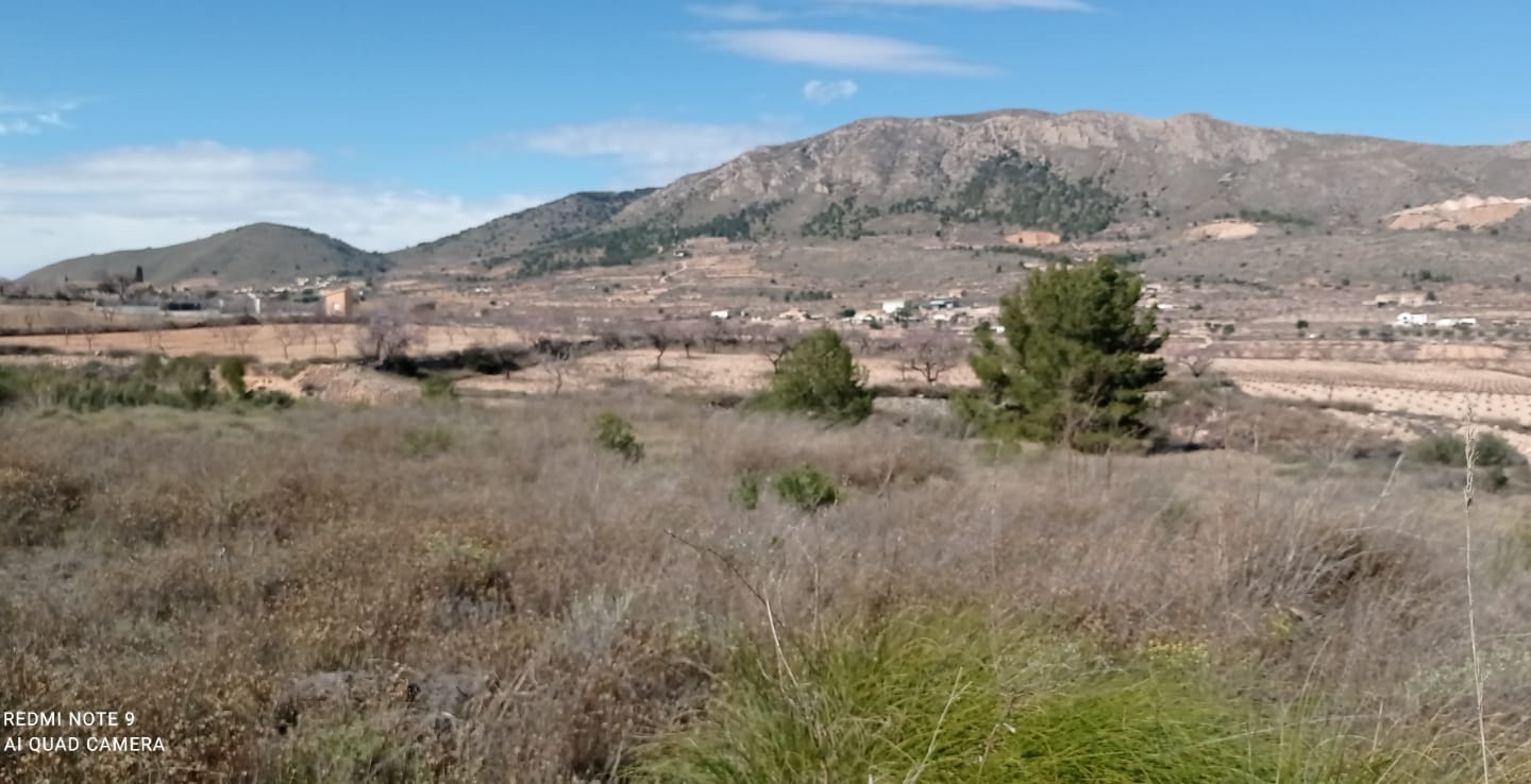 Land In La Romana, Spain (10.710 M² Plot)