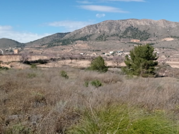Land In La Romana, Spain (10.710 M² Plot)