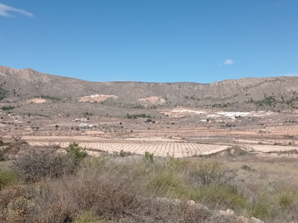 Land In La Romana, Spain (10.710 M² Plot)