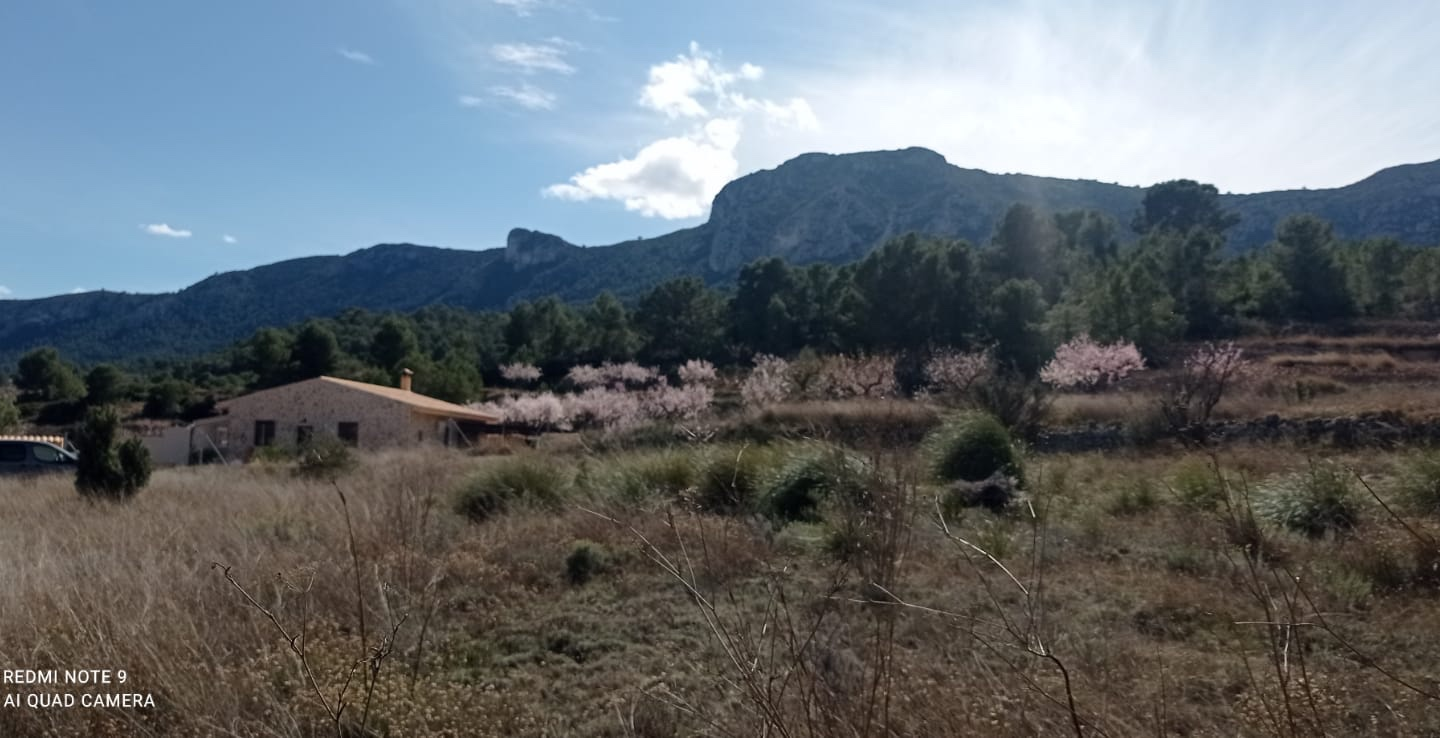 Land In La Romana, Spain (10.710 M² Plot)