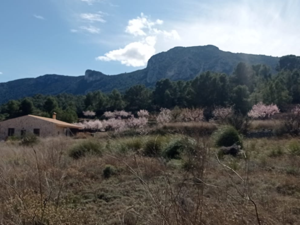 Land In La Romana, Spain (10.710 M² Plot)