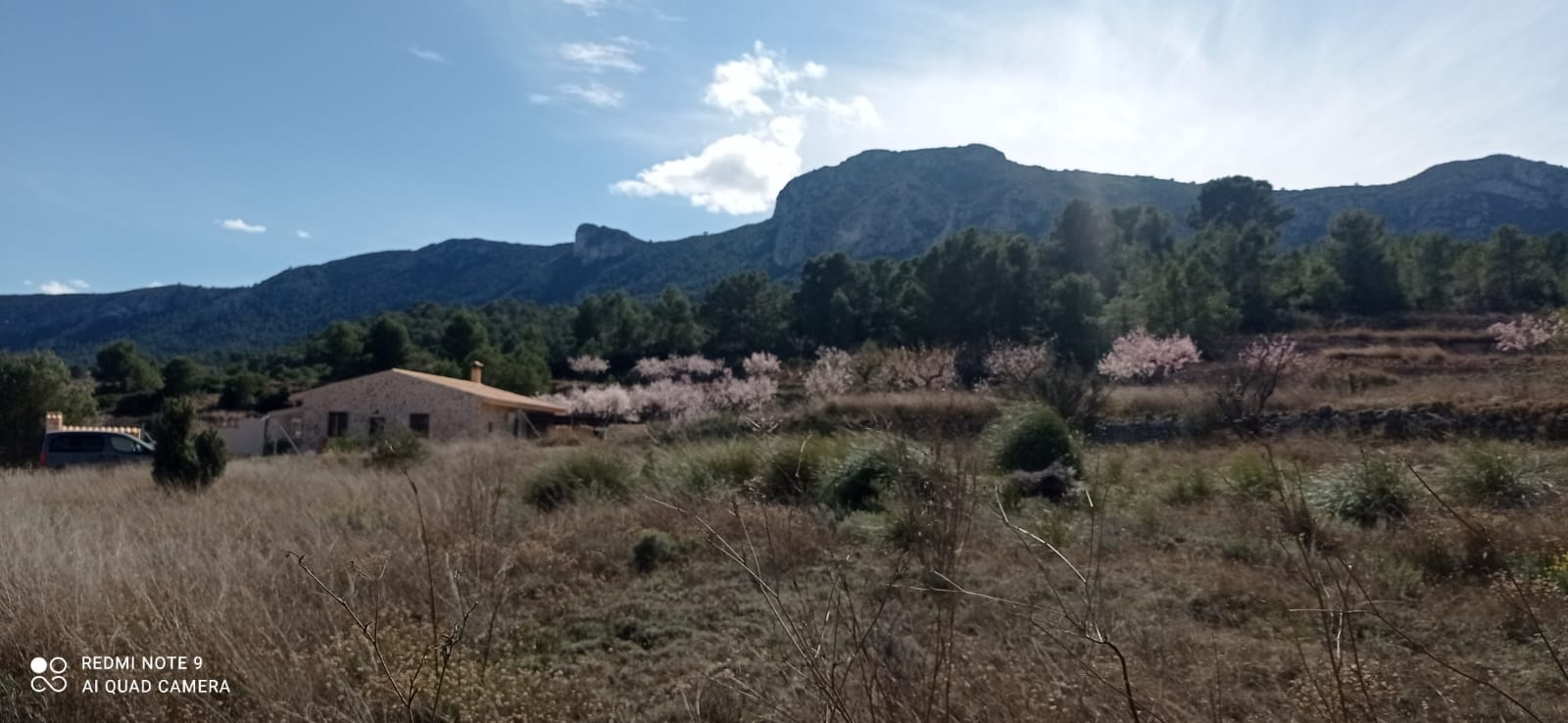 Land In La Romana, Spain (10.710 M² Plot)