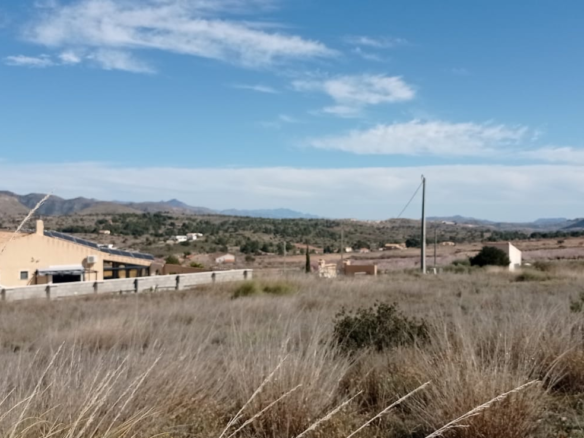 Land In La Romana, Spain (10.710 M² Plot)