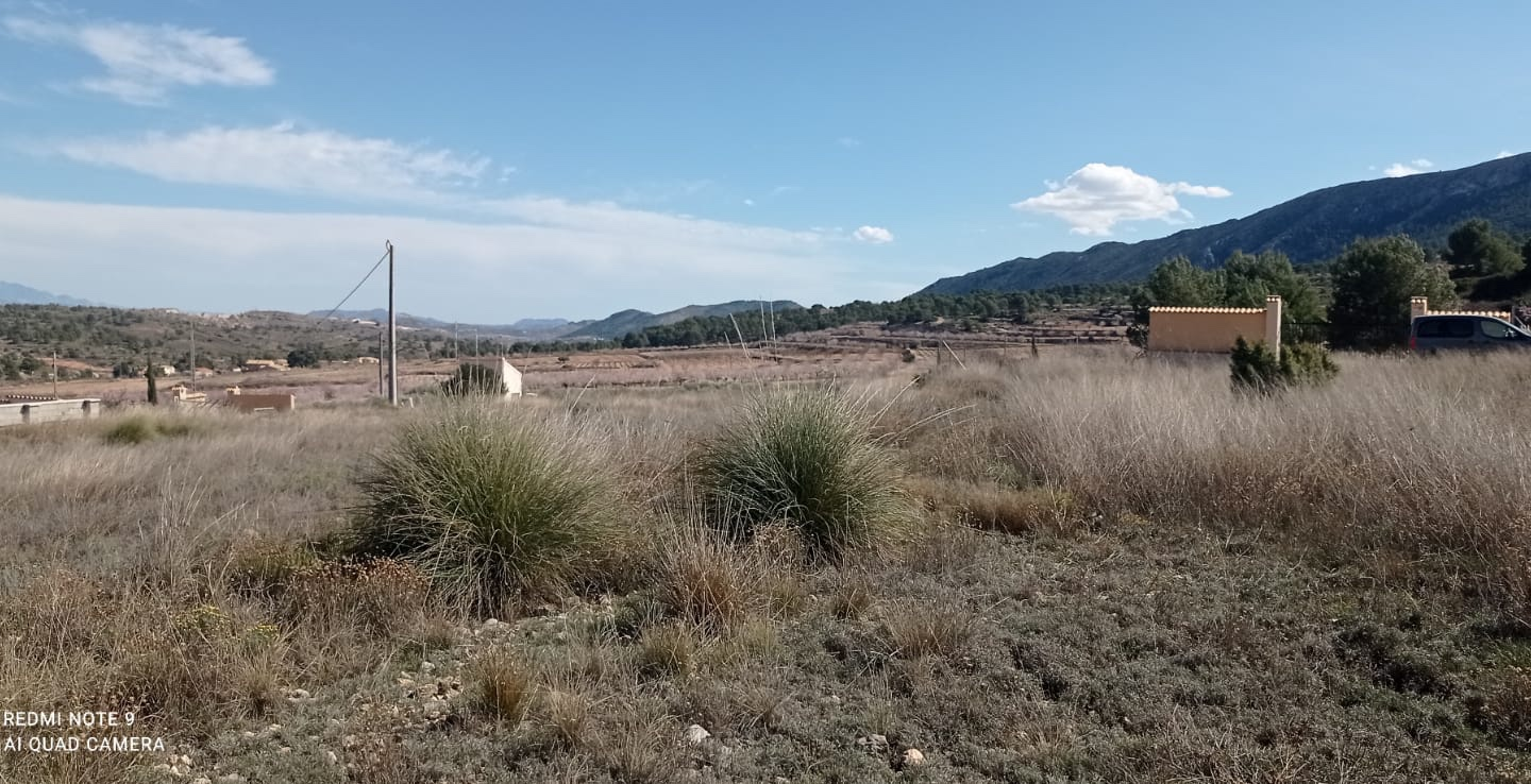 Land In La Romana, Spain (10.710 M² Plot)