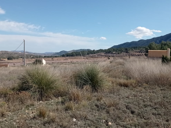 Land In La Romana, Spain (10.710 M² Plot)