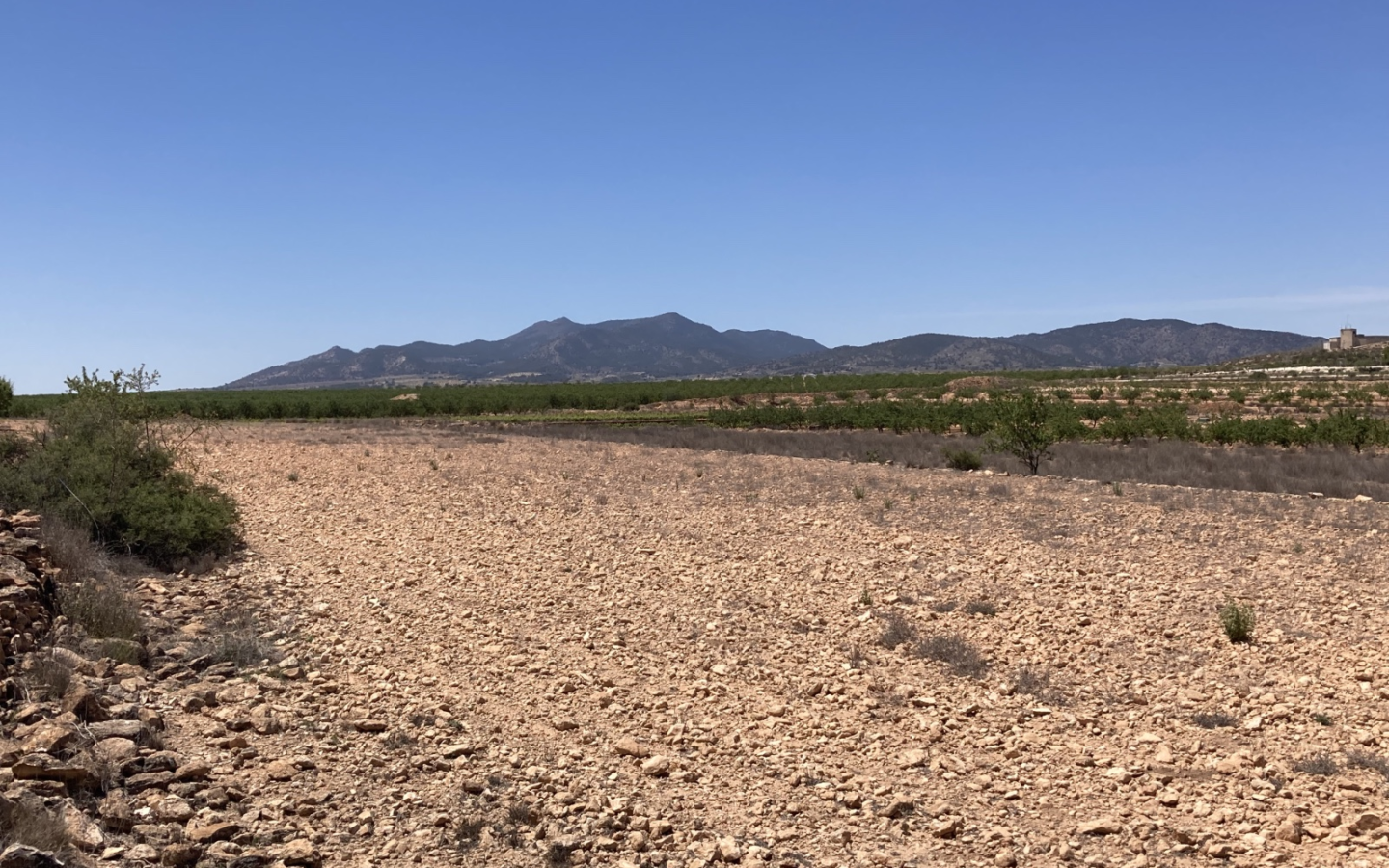 Land In Pinoso
