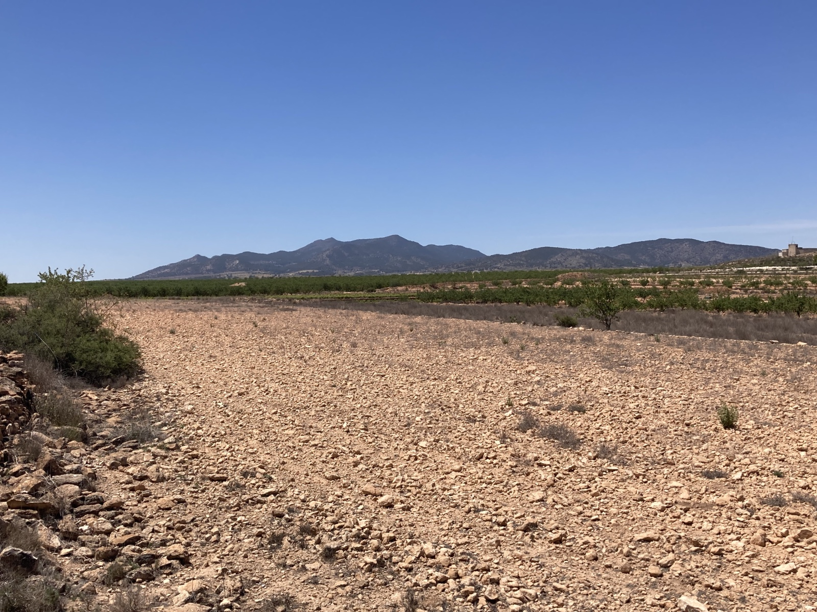 Land In Pinoso