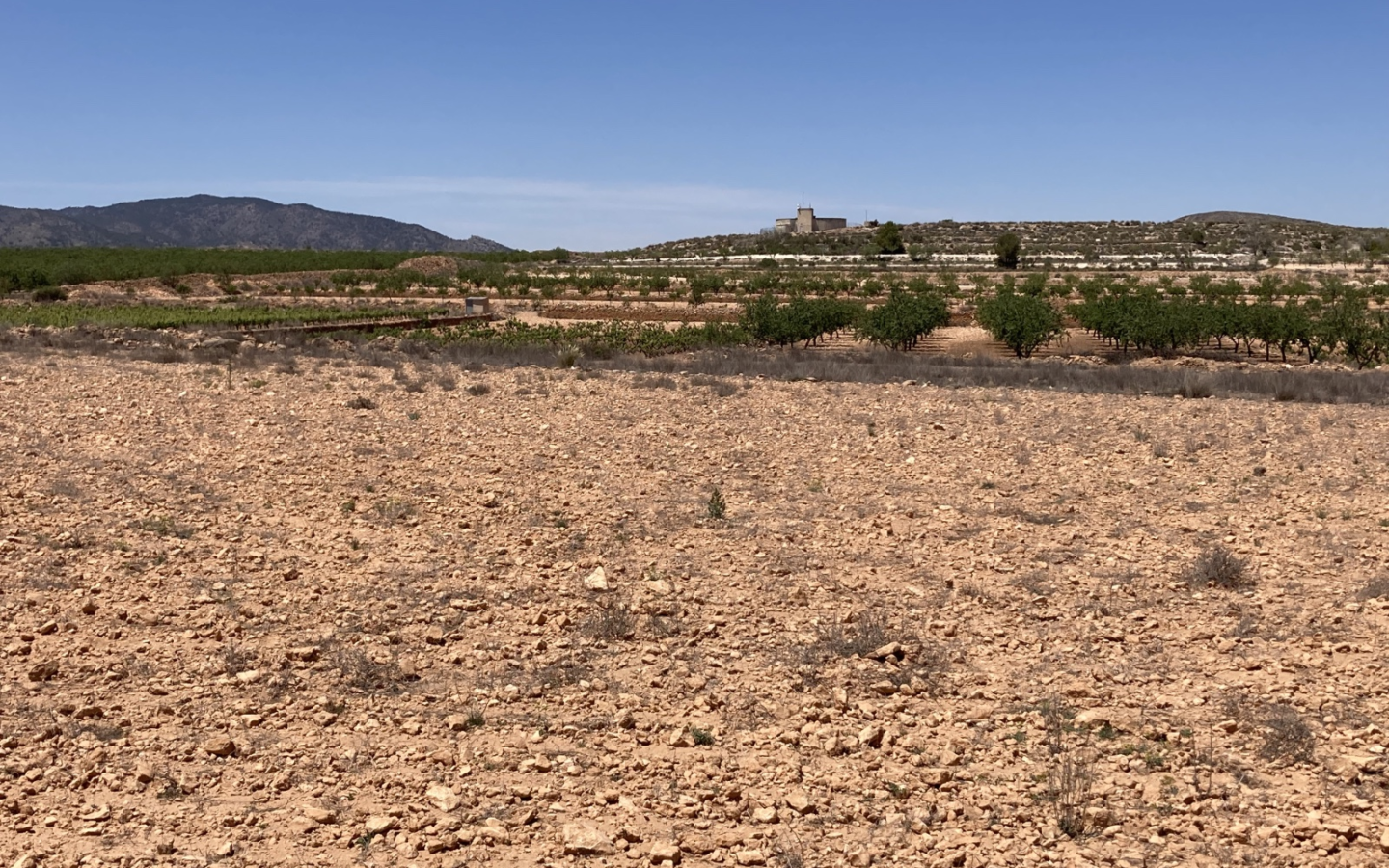 Land In Pinoso