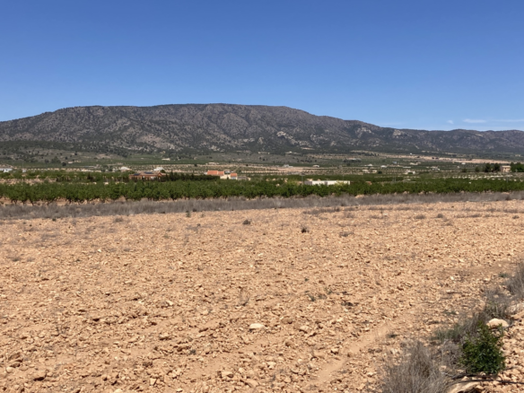 Land In Pinoso