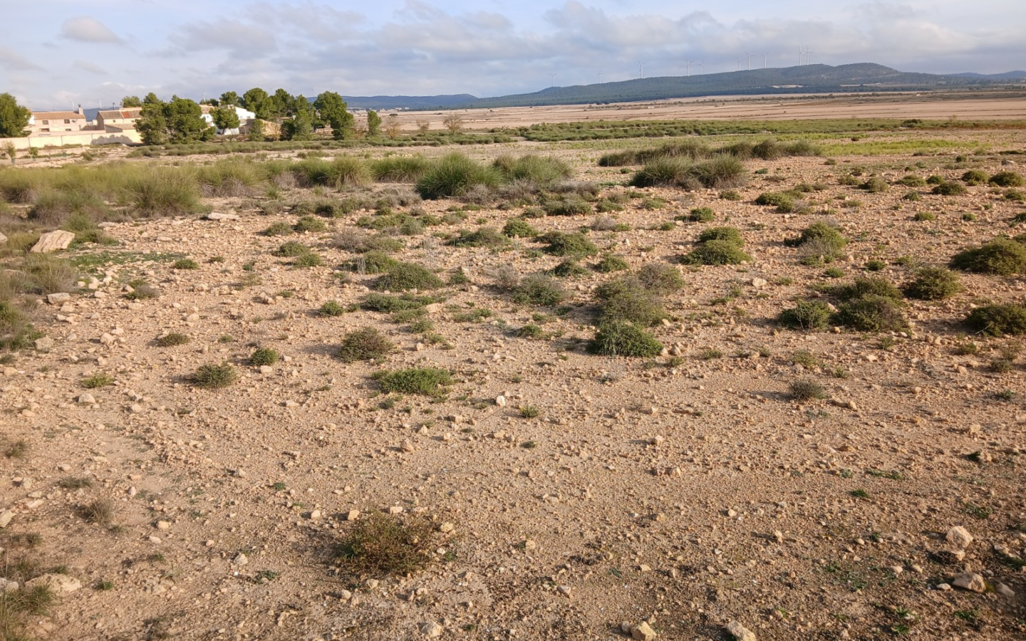 Land In Yecla, Spain (25.000 M² Plot)
