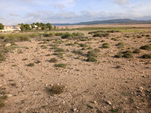 Land In Yecla, Spain (25.000 M² Plot)