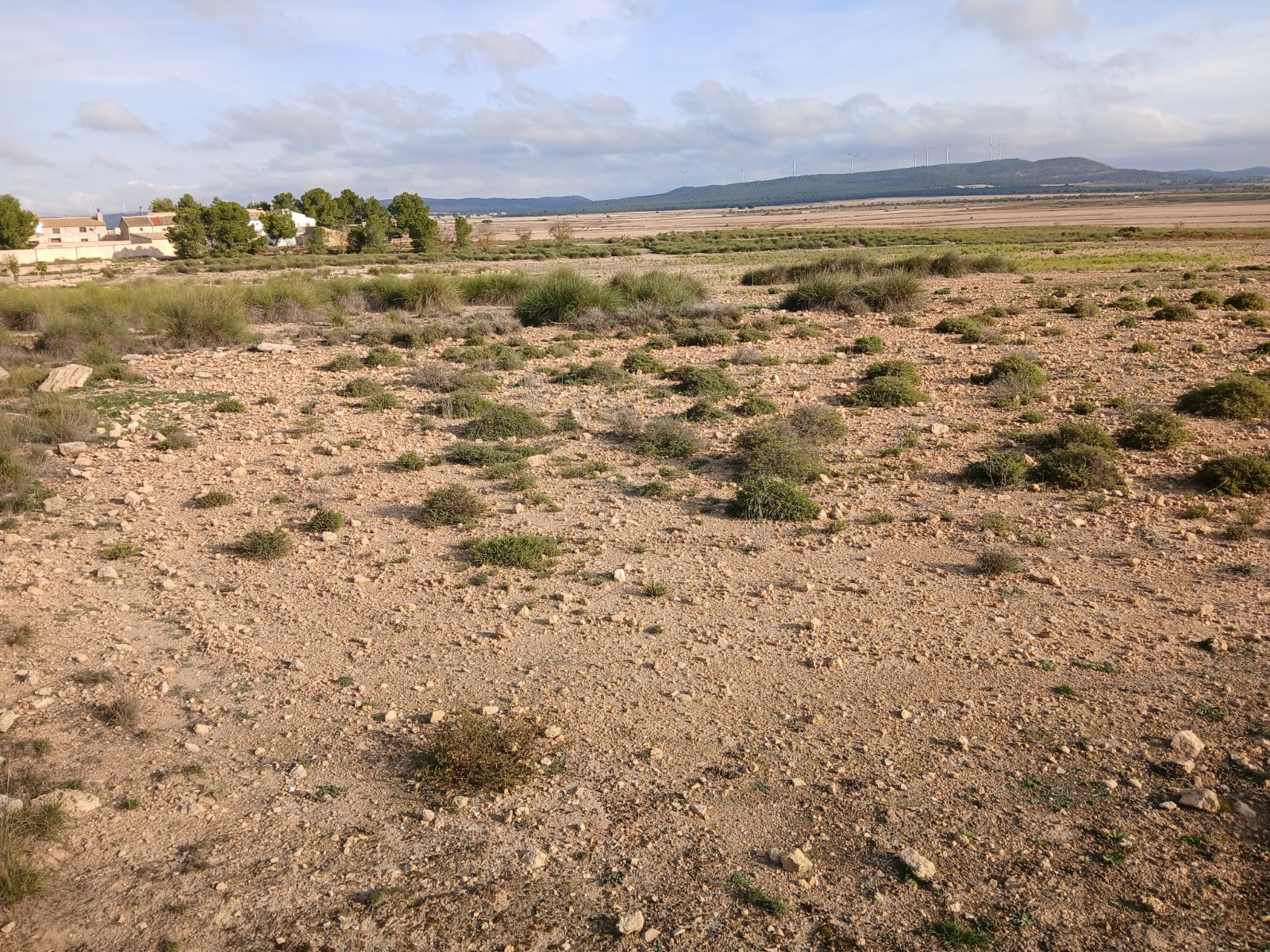 Land In Yecla, Spain (25.000 M² Plot)