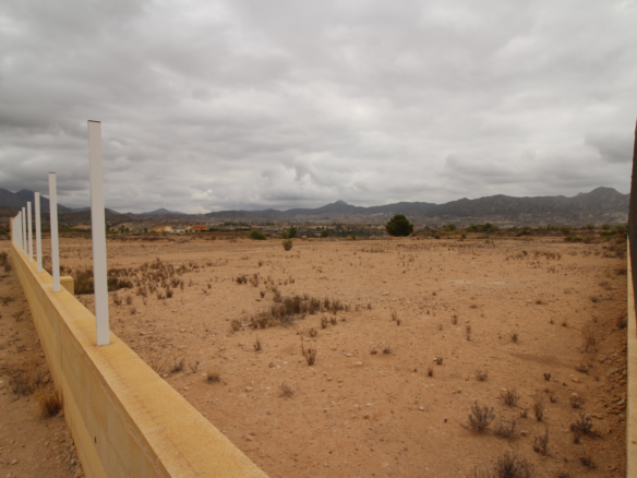 Land In Abanilla, Spain (5.000 M² Plot)