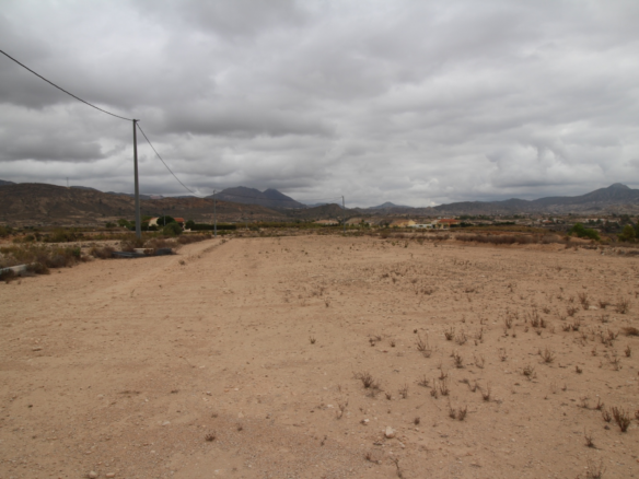 Land In Abanilla, Spain (5.000 M² Plot)