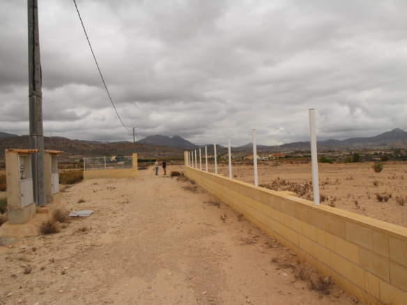 Land In Abanilla, Spain (5.000 M² Plot)