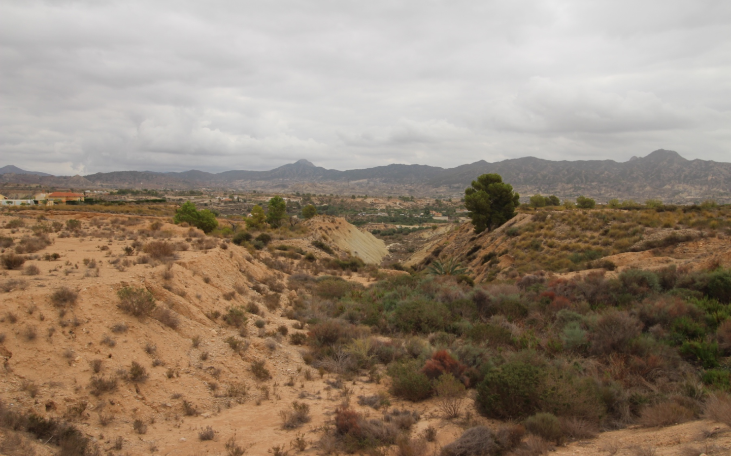 Land In Abanilla, Spain (5.000 M² Plot)