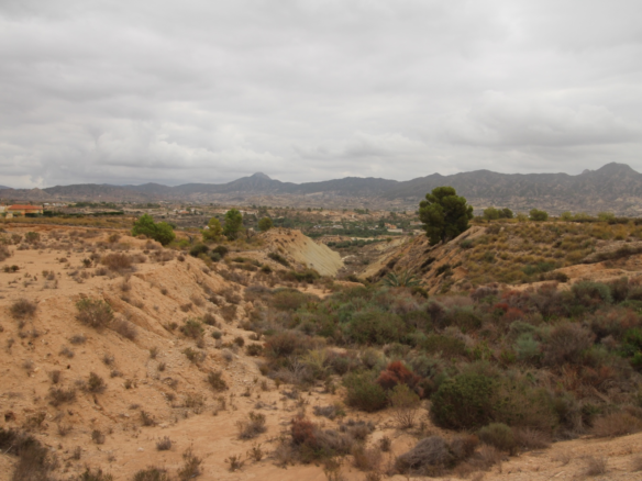 Land In Abanilla, Spain (5.000 M² Plot)