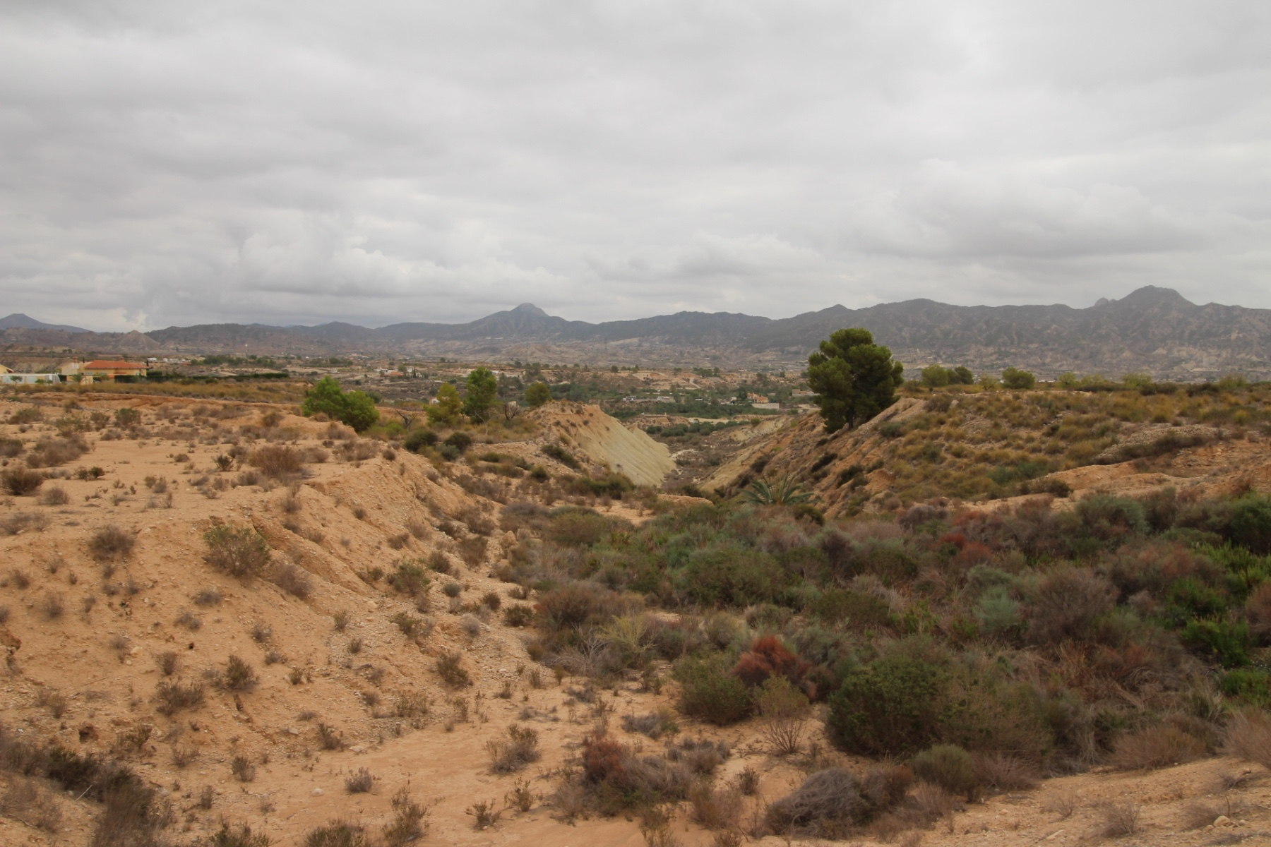Land In Abanilla, Spain (5.000 M² Plot)