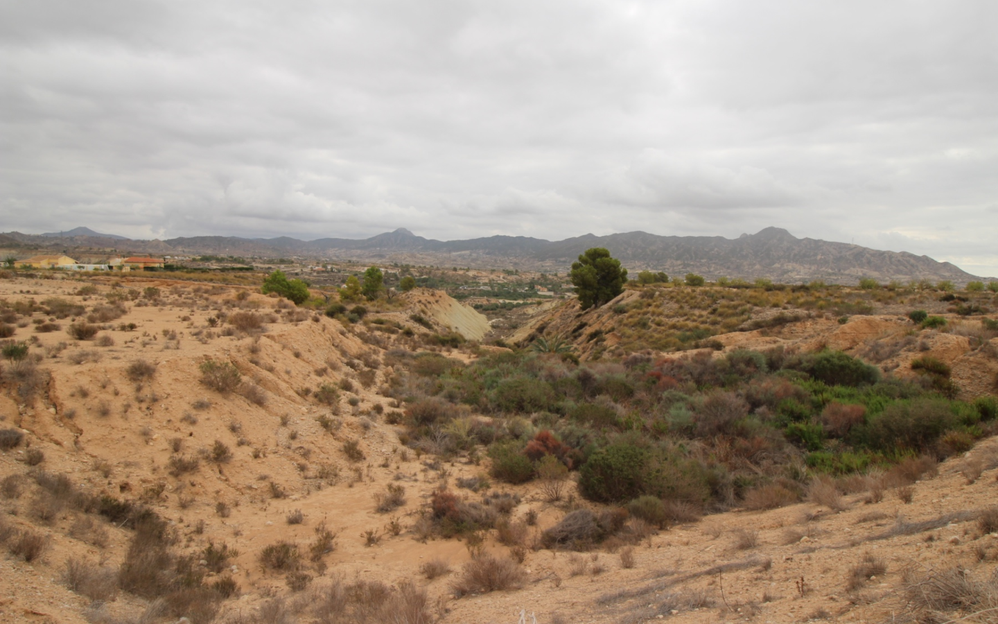 Land In Abanilla, Spain (5.000 M² Plot)