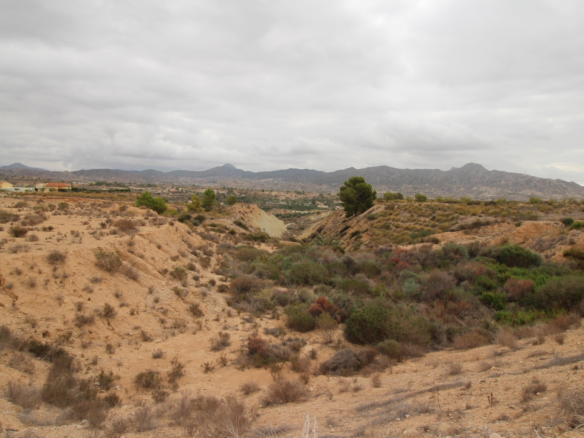 Land In Abanilla, Spain (5.000 M² Plot)
