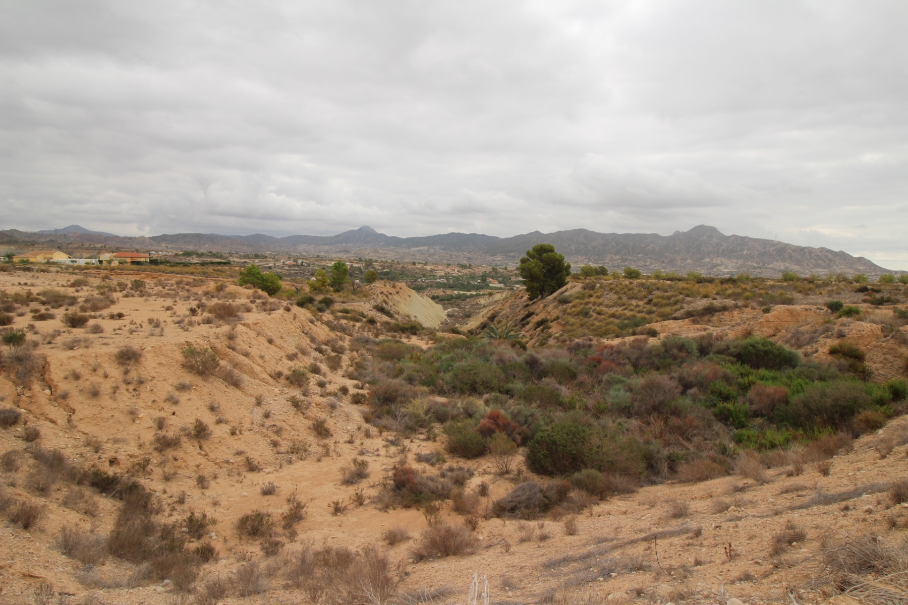 Land In Abanilla, Spain (5.000 M² Plot)