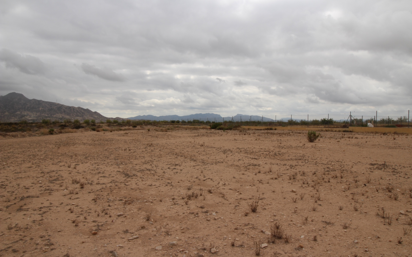 Land In Abanilla, Spain (5.000 M² Plot)