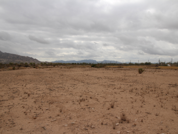 Land In Abanilla, Spain (5.000 M² Plot)