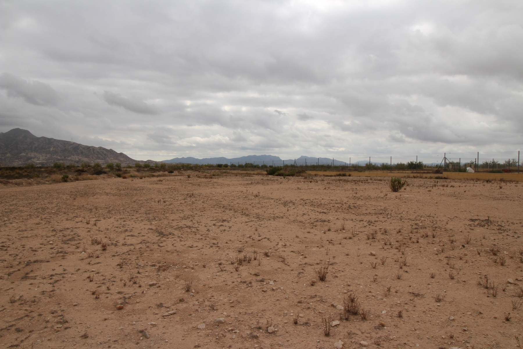 Land In Abanilla, Spain (5.000 M² Plot)