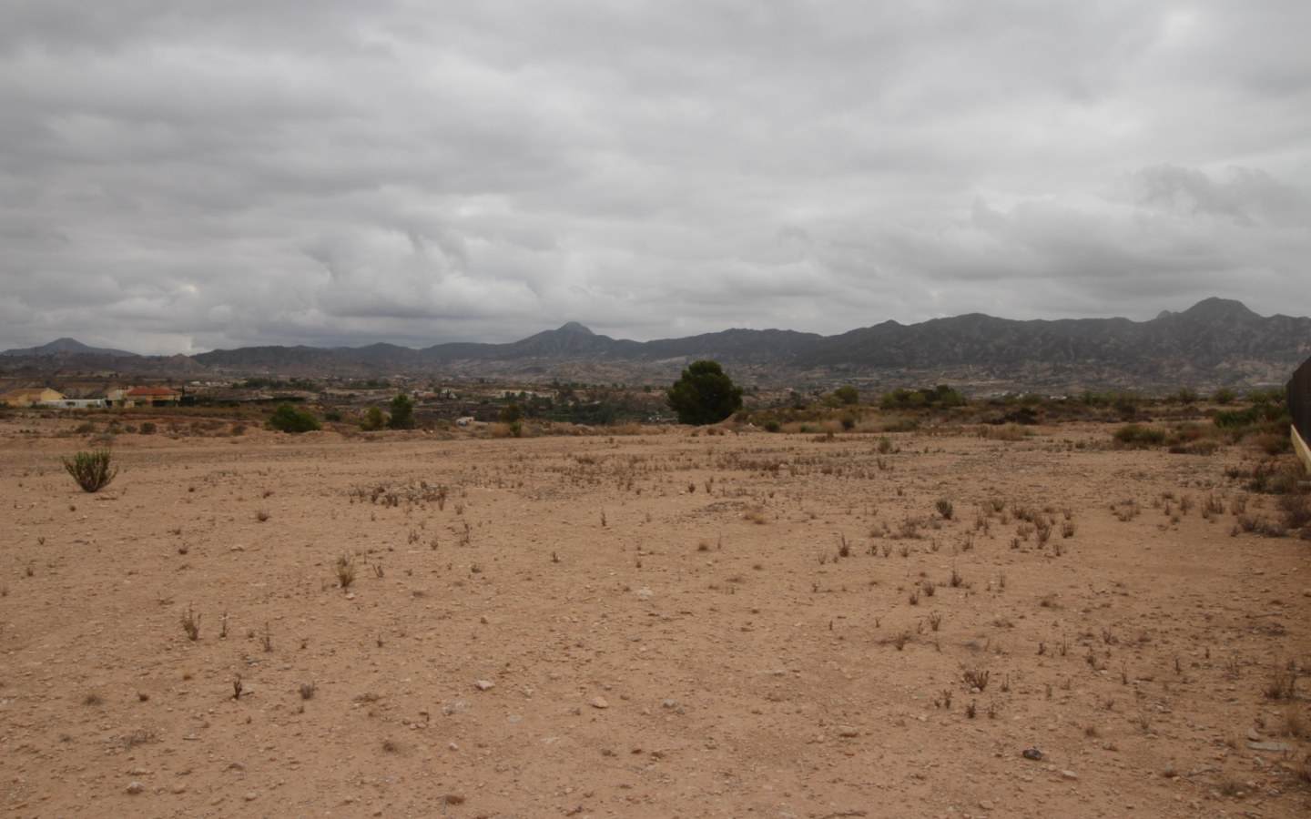 Land In Abanilla, Spain (5.000 M² Plot)