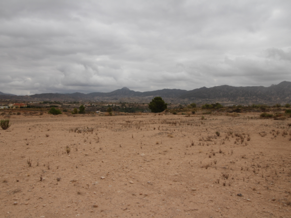 Land In Abanilla, Spain (5.000 M² Plot)