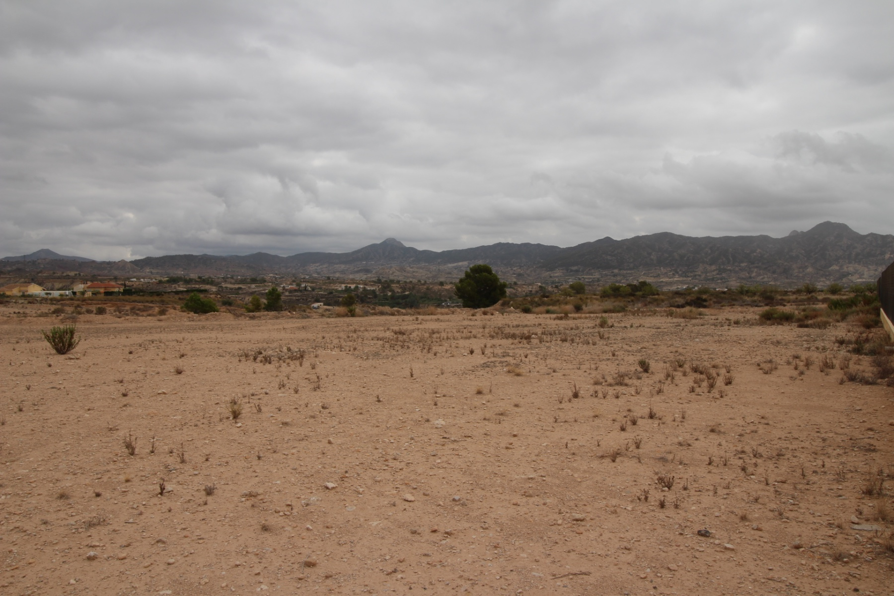Land In Abanilla, Spain (5.000 M² Plot)