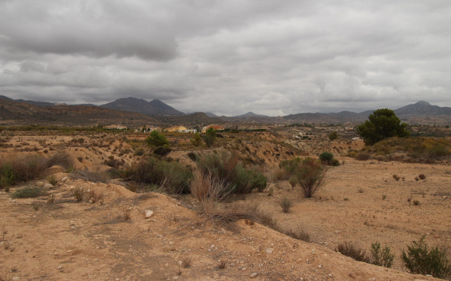 Land In Abanilla, Spain (5.000 M² Plot)