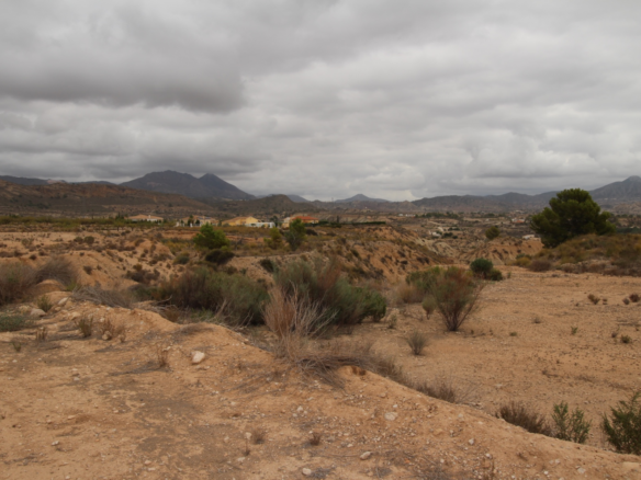 Land In Abanilla, Spain (5.000 M² Plot)